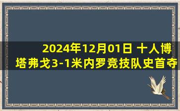 2024年12月01日 十人博塔弗戈3-1米内罗竞技队史首夺解放者杯 获世俱杯最后名额